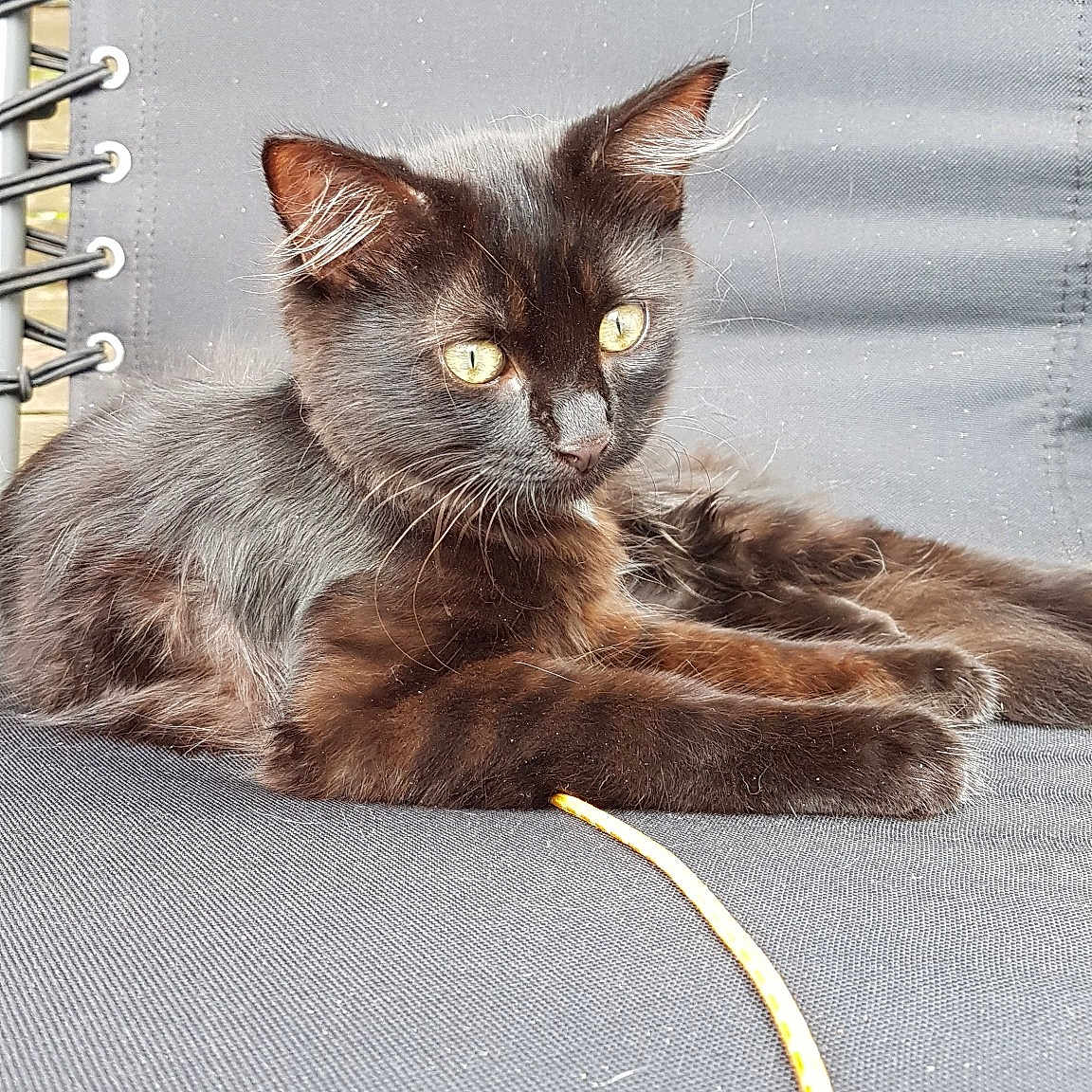 Aimy