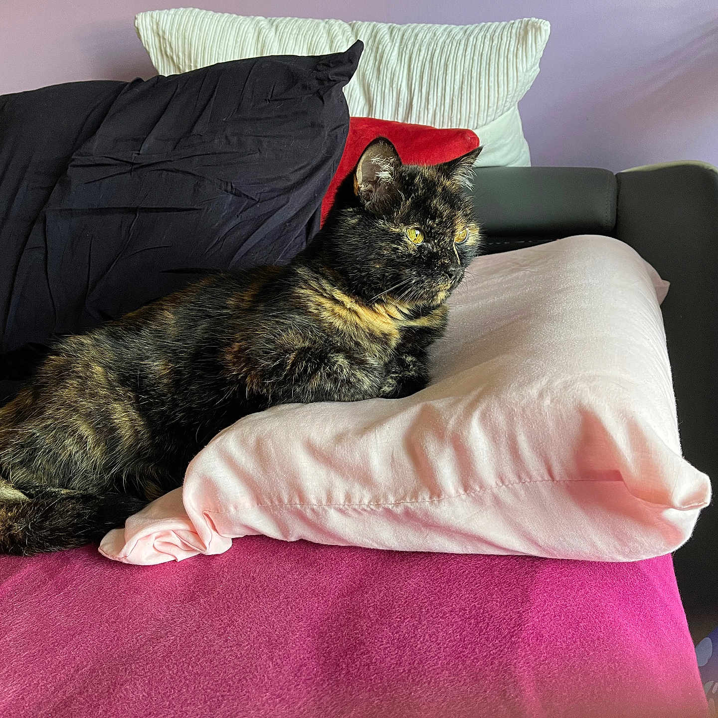 Mademoiselle Coco