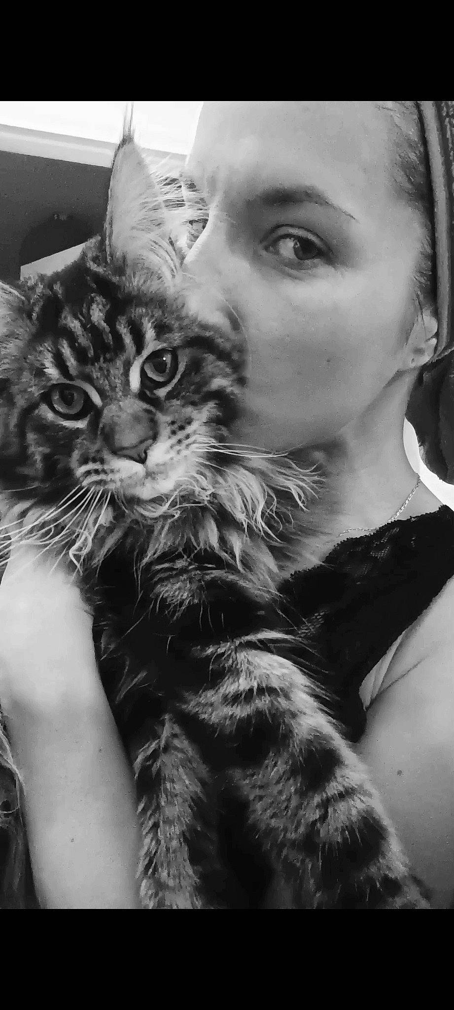 Sango a rejoint le concours — aidez-le/la à gagner de superbes lots ! black_and_white, carnivore, cat, claw, domestic_short_haired_cat, eye, eyewear, felidae, fur, gesture, happy, iris, monochrome, monochrome_photography, paw, small_to_medium_sized_cats, snout, stock_photography, style, whiskers