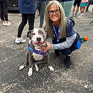 Olive Lucy joined the competition — help win amazing prizes! woman, dog, smiling, glasses, harness, asphalt, people, outdoor, event, casual, sneakers, blue_clothing, gray_dog, white_dog, leash, social_gathering, standing, crouching, happy, friendly