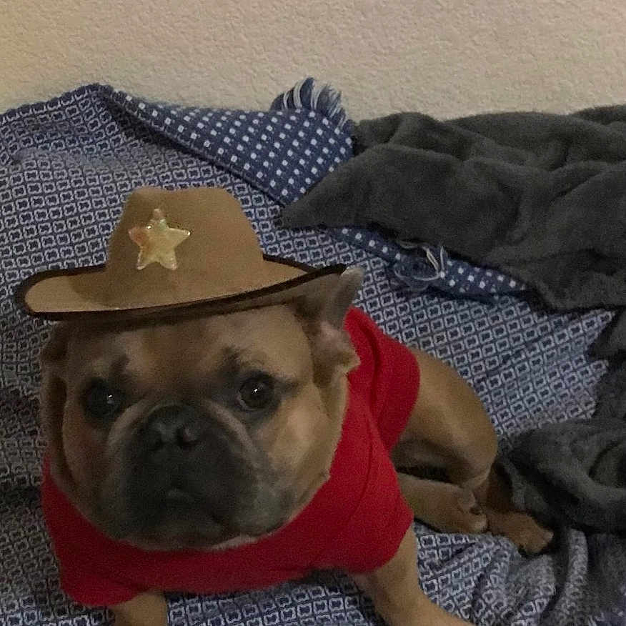 Tank