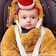 Tiago participe au concours pour gagner de l'argent avec cette photo : baby, child, car_seat, costume, fuzzy, bear, hat, santa_hat, pom_pom, blue_eyes, straps, seatbelt, cute, holiday, festive, indoor, soft_texture, infant, wearing, portrait