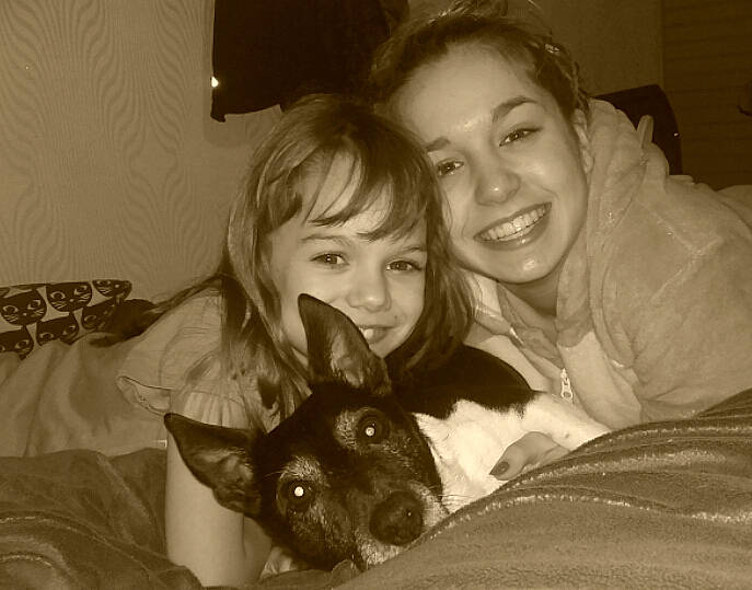 Diabolo participe au concours pour gagner de l'argent avec cette photo : canidae, carnivore, companion_dog, dog_breed, ear, room, smile