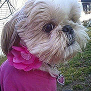 Lucy Lu joined the competition — help win amazing prizes!