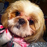 Lucylu is registered to the contest to win money with this photo: