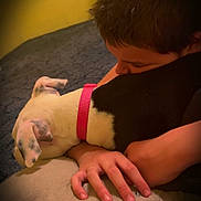 Karma is registered to the contest to win money with this photo: affection, black_and_white_dog, bond, carpet, child, closeup, collar, comfort, dog, friendship, fur, hand, hug, human, indoor, nuzzling, pet, pink_collar, resting, warm_lighting
