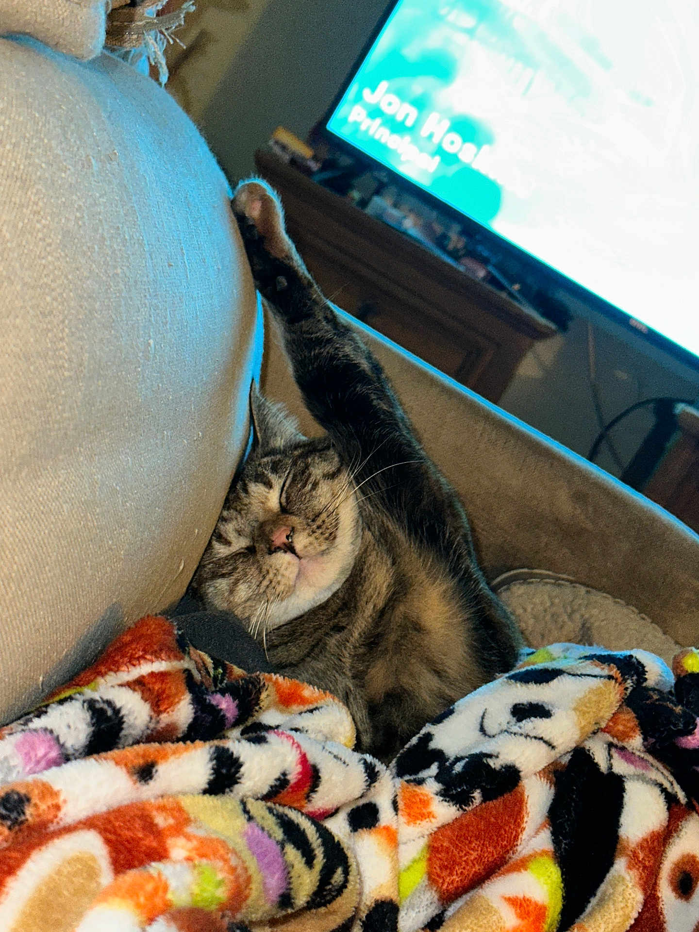 Pooh is registered to the contest to win money with this photo: cat, tabby, sleeping, stretching, blanket, colorful, couch, indoor, cozy, relaxed, pet, feline, paw, fur, home, television, furniture, resting, comfort, nap