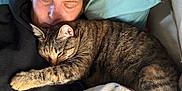 Pooh is registered to the contest to win money with this photo: animal, blanket, cat, closeup, comfort, cozy, cuddling, face, fur, home, indoor, person, pet, pillow, relaxation, resting, sleeping, snuggling, tabby_cat, warmth