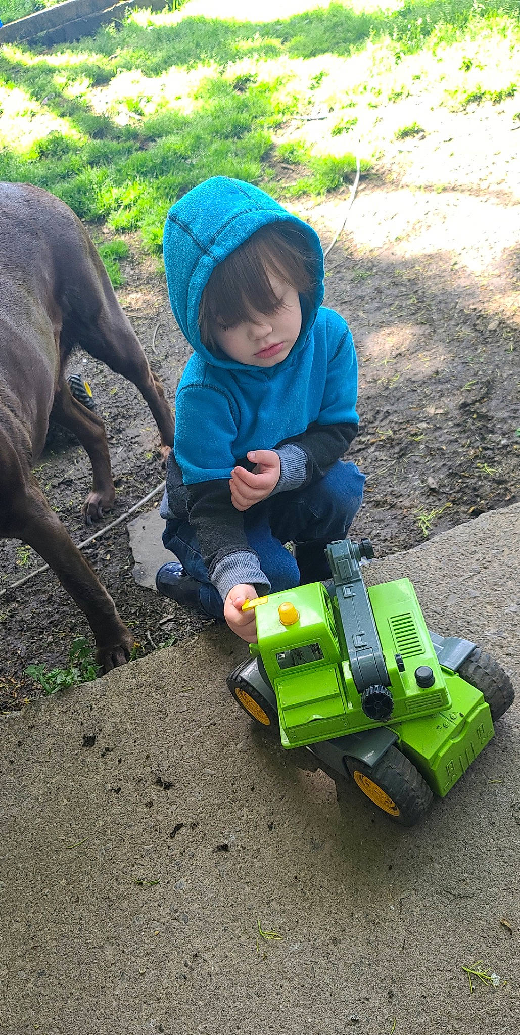 Cruze Cook is registered to the contest to win money with this photo: asphalt, automotive_tire, carnivore, dog, dog_breed, fawn, gardening, grass, jacket, machine, motor_vehicle, person, plant, soil, tire, toddler, toy, toy_vehicle, vehicle, wheel