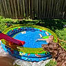 Emmitt Cook is registered to the contest to win money with this photo: circle, dog, electric_blue, fence, fun, games, garden, grass, green, inflatable, landscape, leisure, liver, plant, play, recreation, rectangle, swimming_pool, water, working_animal