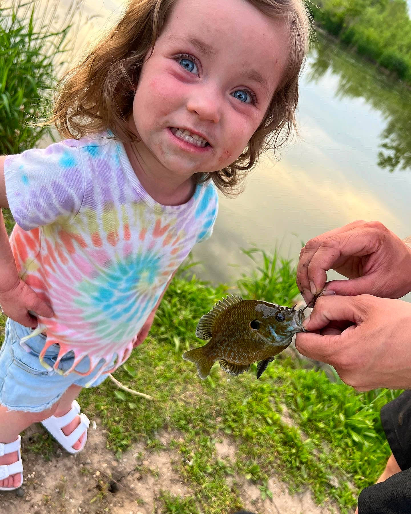 Ava joined the competition — help win amazing prizes! baby_toddler_clothing, botany, child, finger, grass, hand, happy, lake, people_in_nature, person, photograph, plant, reptile, rodent, smile, summer, terrestrial_animal, toddler, vertebrate, water