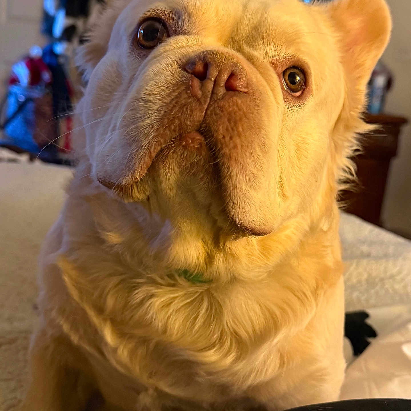 Mr Butters