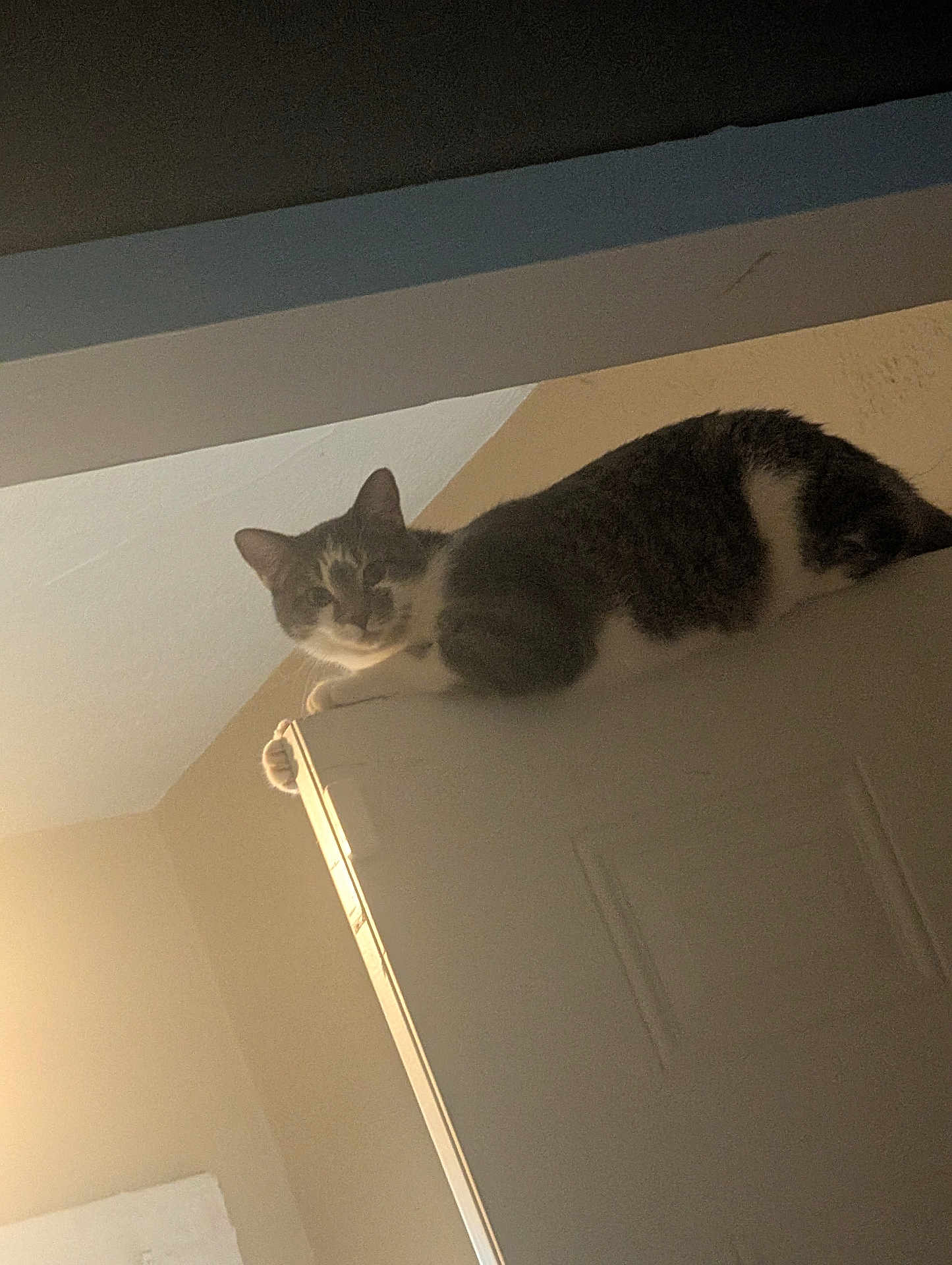 Stormie