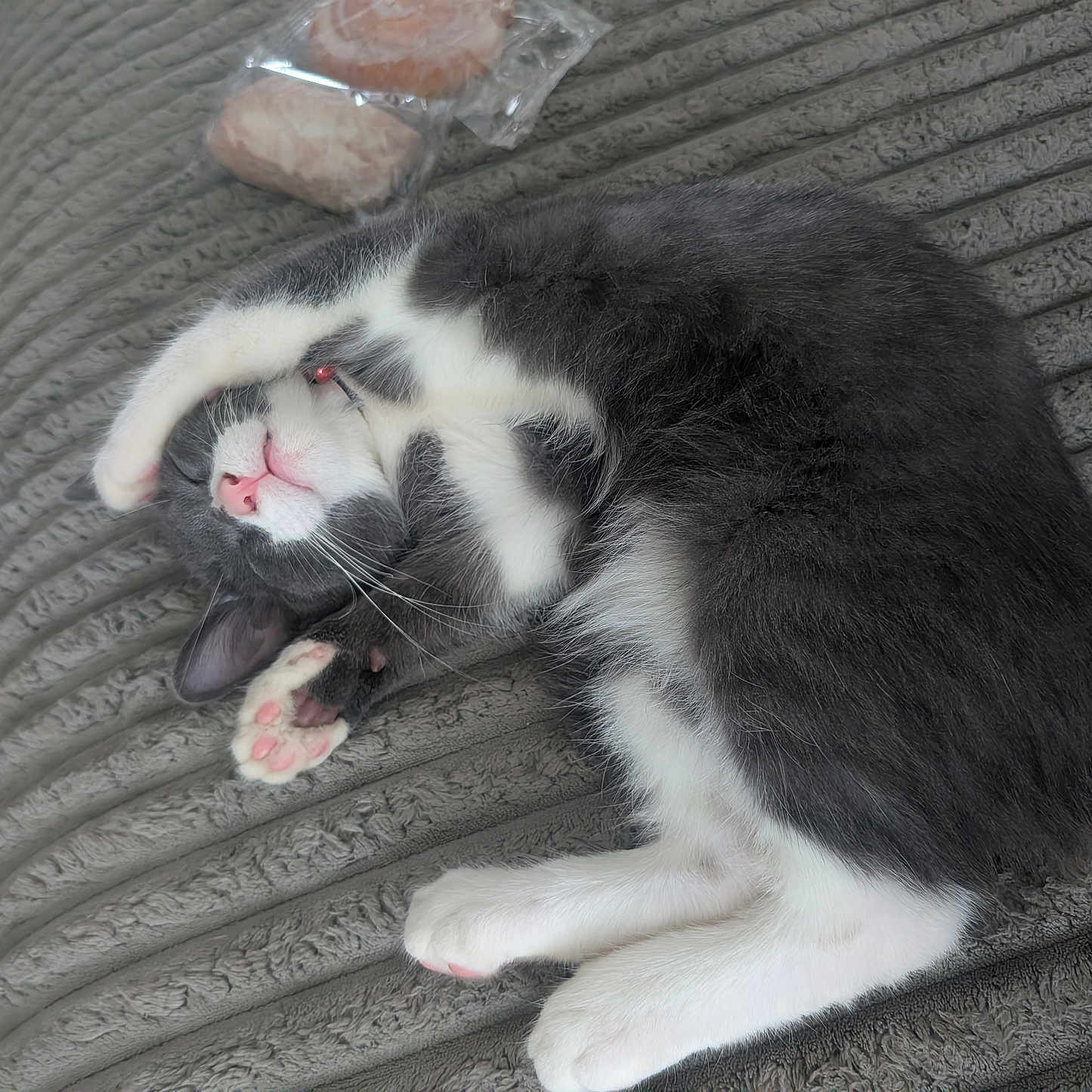 Gizmo