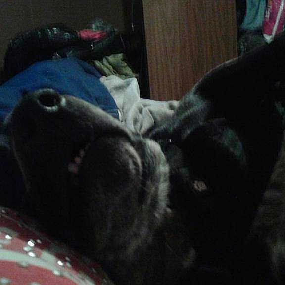 Lil Wayne is registered to the contest to win money with this photo: