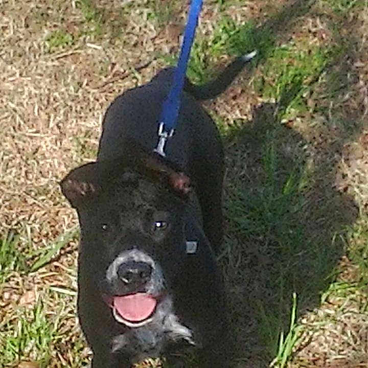 Lil Wayne is registered to the contest to win money with this photo: