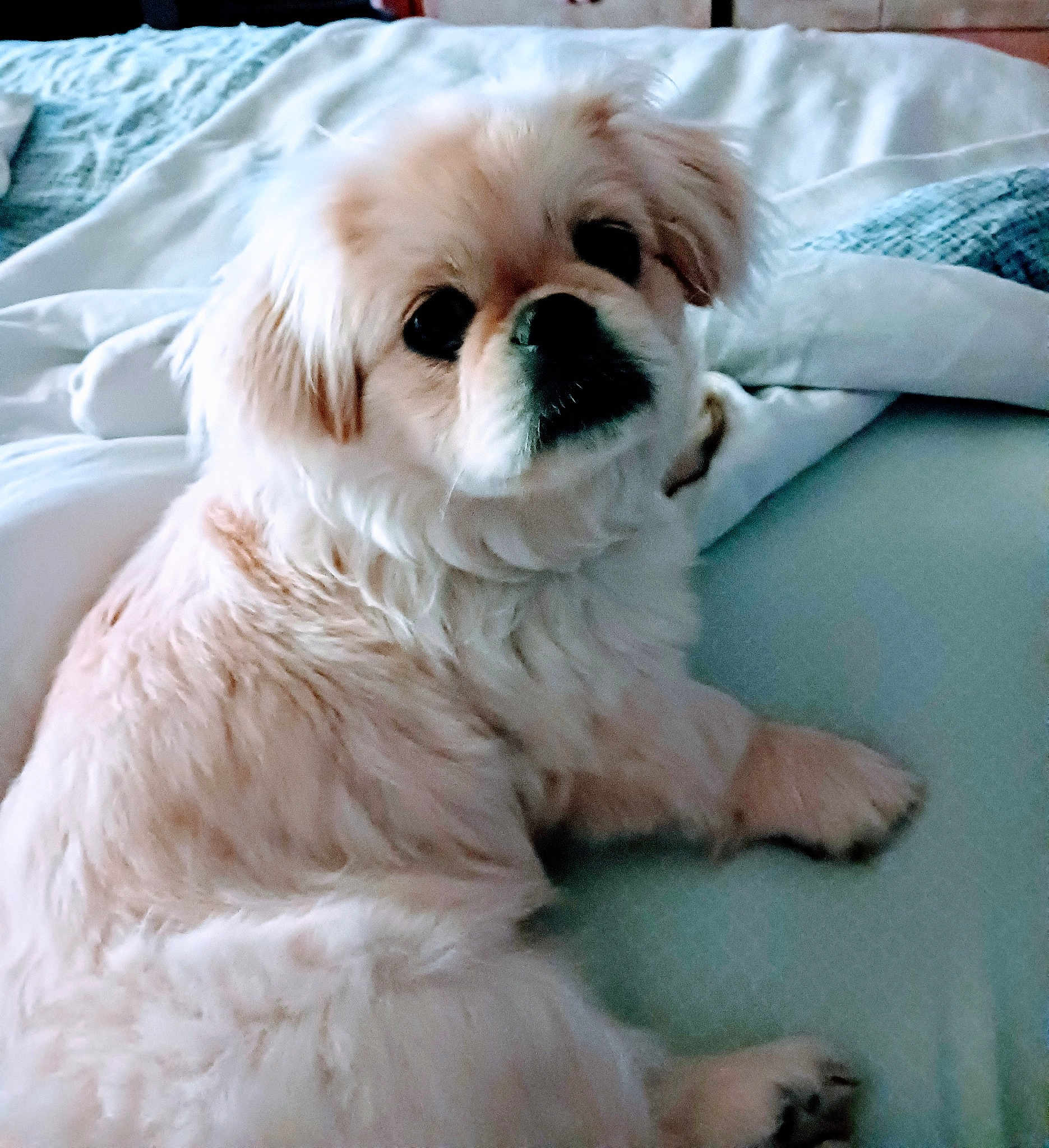 Precious