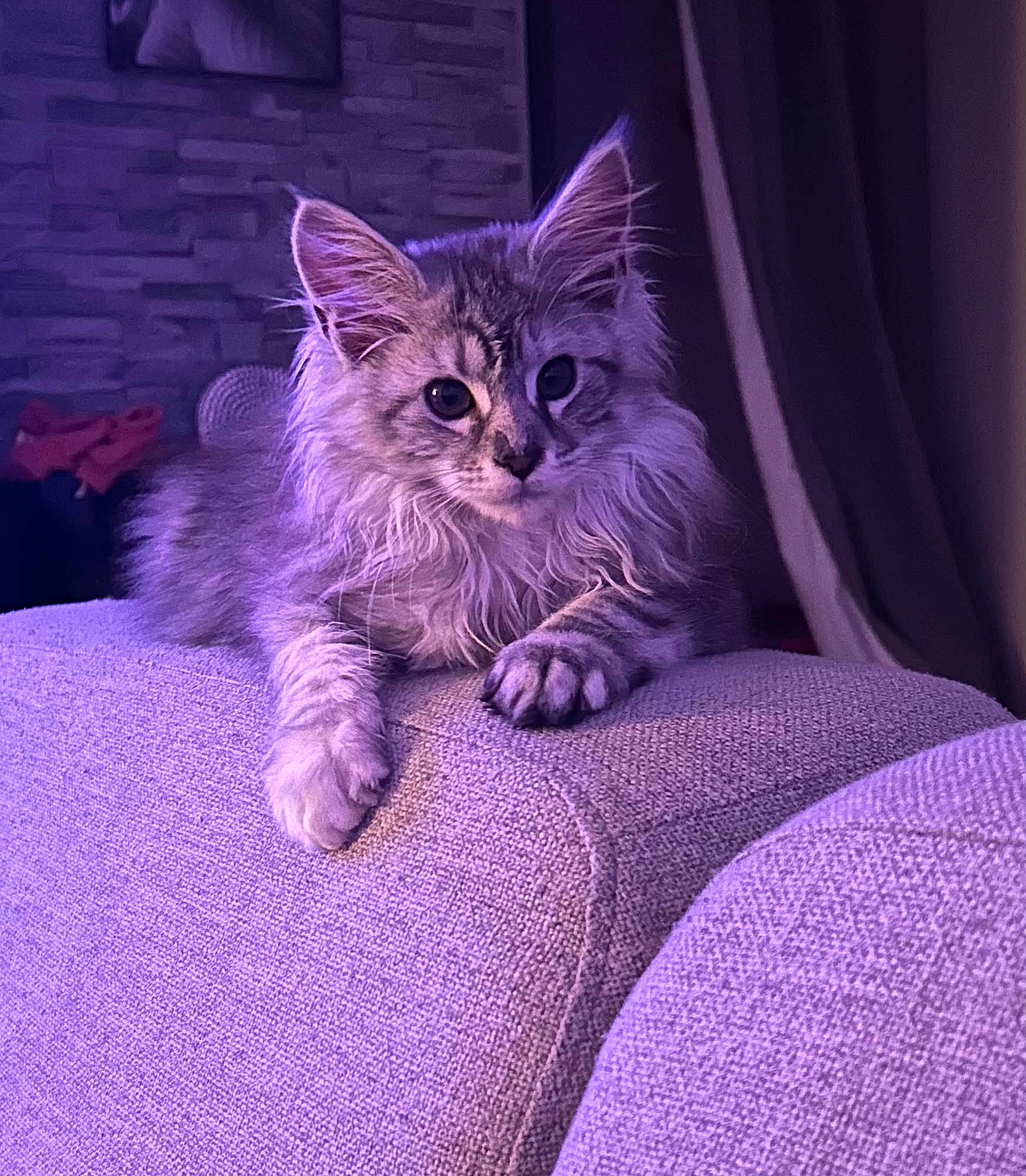 Kira