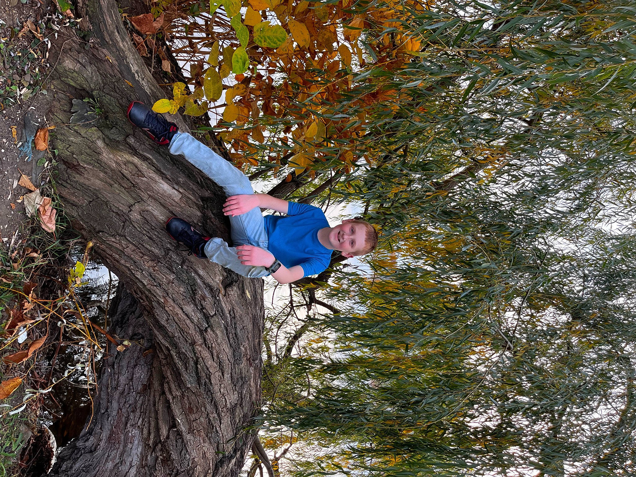 Bradyn is registered to the contest to win money with this photo: adventure, autumn, branch, deciduous, electric_blue, forest, fun, happy, joy, leisure, northern_hardwood_forest, people_in_nature, person, plant, recreation, rope, sport_climbing, temperate_broadleaf_and_mixed_forest, tree, trunk