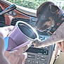Nugget joined the competition — help win amazing prizes! puppy, dog, collar, paw, cup, hand, car, dashboard, window, greenery, interior, tongue, curious, jeweled_collar, person, holding, light_reflection, closeup, pet, cute