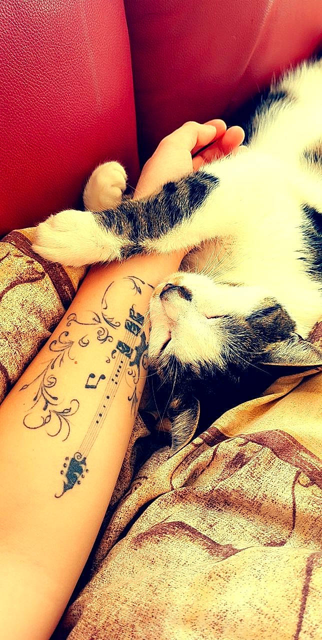 Rebelle a rejoint le concours — aidez-le/la à gagner de superbes lots ! carnivore, cat, cloud, comfort, companion_dog, elbow, fawn, felidae, finger, gesture, hand, happy, human_leg, knee, small_to_medium_sized_cats, tattoo, temporary_tattoo, thigh, whiskers, wrist