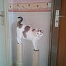 Golette participe au concours pour gagner de l'argent avec cette photo :