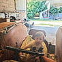 Maïlo participe au concours pour gagner de l'argent avec cette photo : arm, barn, child, clothing, curious, daylight, farm_equipment, greenery, indoor, metal, old, person, rustic, seat, steering_wheel, tattoo, toddler, tractor, vehicle, vintage
