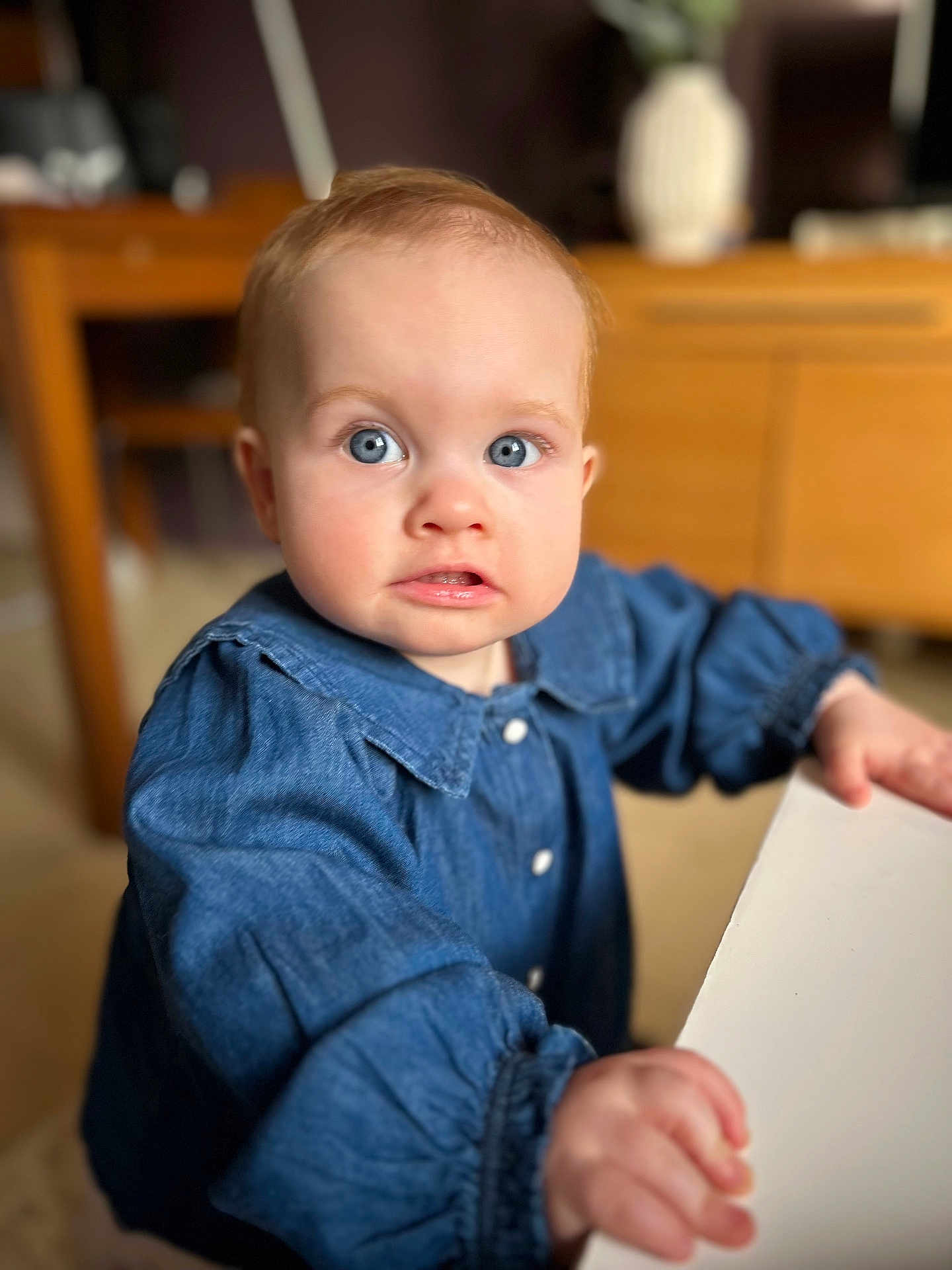Alma a rejoint le concours — aidez-le/la à gagner de superbes lots ! baby, infant, child, portrait, blue_eyes, denim_shirt, clothing, hand, table, furniture, wooden_furniture, indoor, shallow_depth_of_field, bokeh, close_up, curious_expression, cheeks, high_resolution, holding_table, adorable