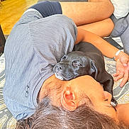 Bandit participe au concours pour gagner de l'argent avec cette photo : person, dog, puppy, black_dog, sleeping, couch, living_room, relaxation, nap, comfort, indoor, casual_clothing, wooden_floor, blanket, arm, hand, head, shorts, furniture, peaceful