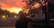 Valeska a rejoint le concours — aidez-le/la à gagner de superbes lots ! calm, car, clouds, dog, evening, footwear, leash, nature, outdoor, person, sidewalk, silhouette, sky, speed_limit_sign, street, sunset, traffic, trees, urban, van