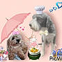 animal, basket, bow, cartoon, chef_hat, companion, cute, decorations, digital_art, dog, flowers, food, fun, hearts, illustration, pet, pink_background, pink_umbrella, playful, whimsical