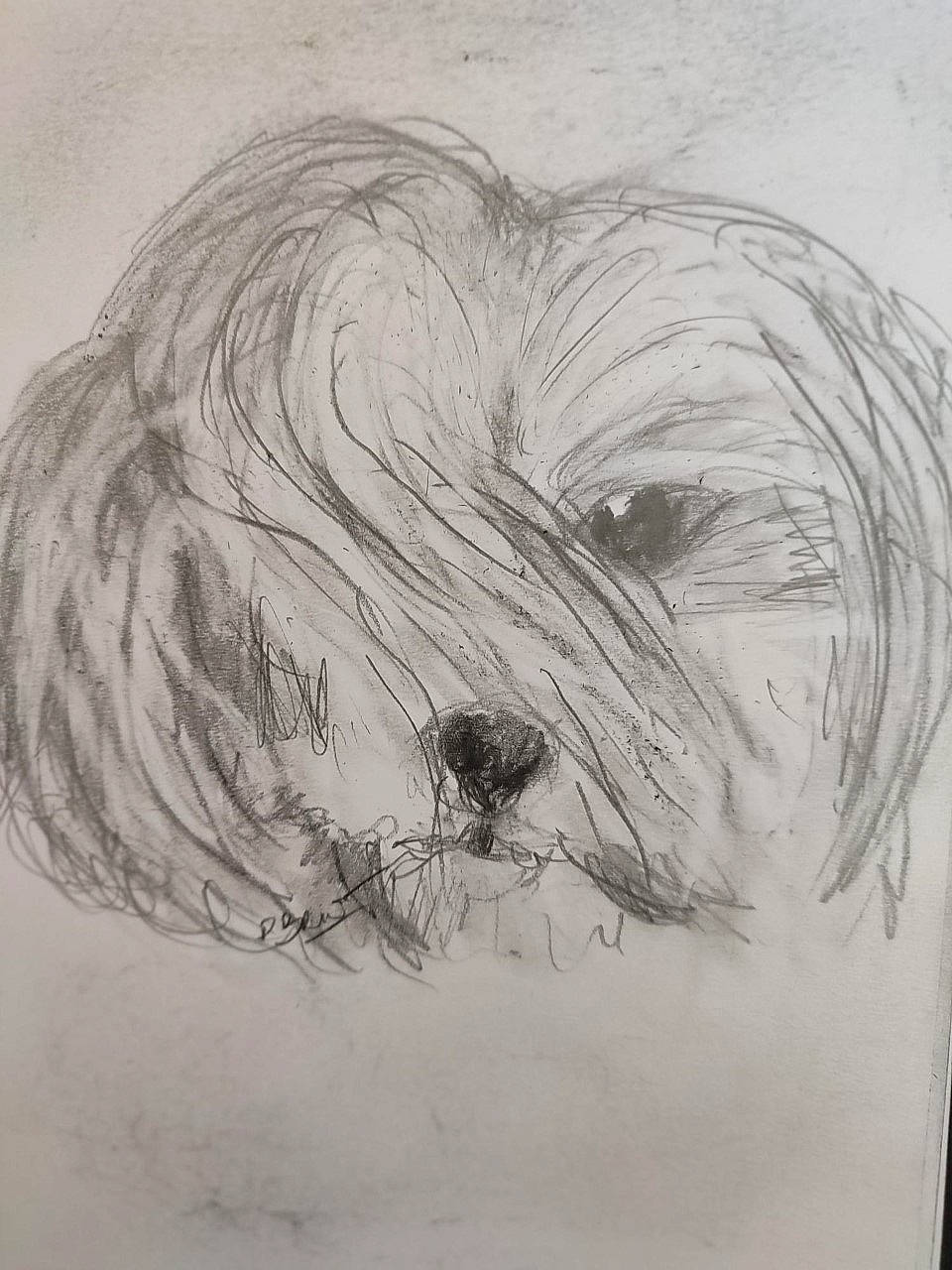 Caline a rejoint le concours — aidez-le/la à gagner de superbes lots ! art, artwork, beard, drawing, fictional_character, figure_drawing, gesture, illustration, ink, jaw, line_art, monochrome, painting, printmaking, self_portrait, sketch, snout, tail, visual_arts, wing