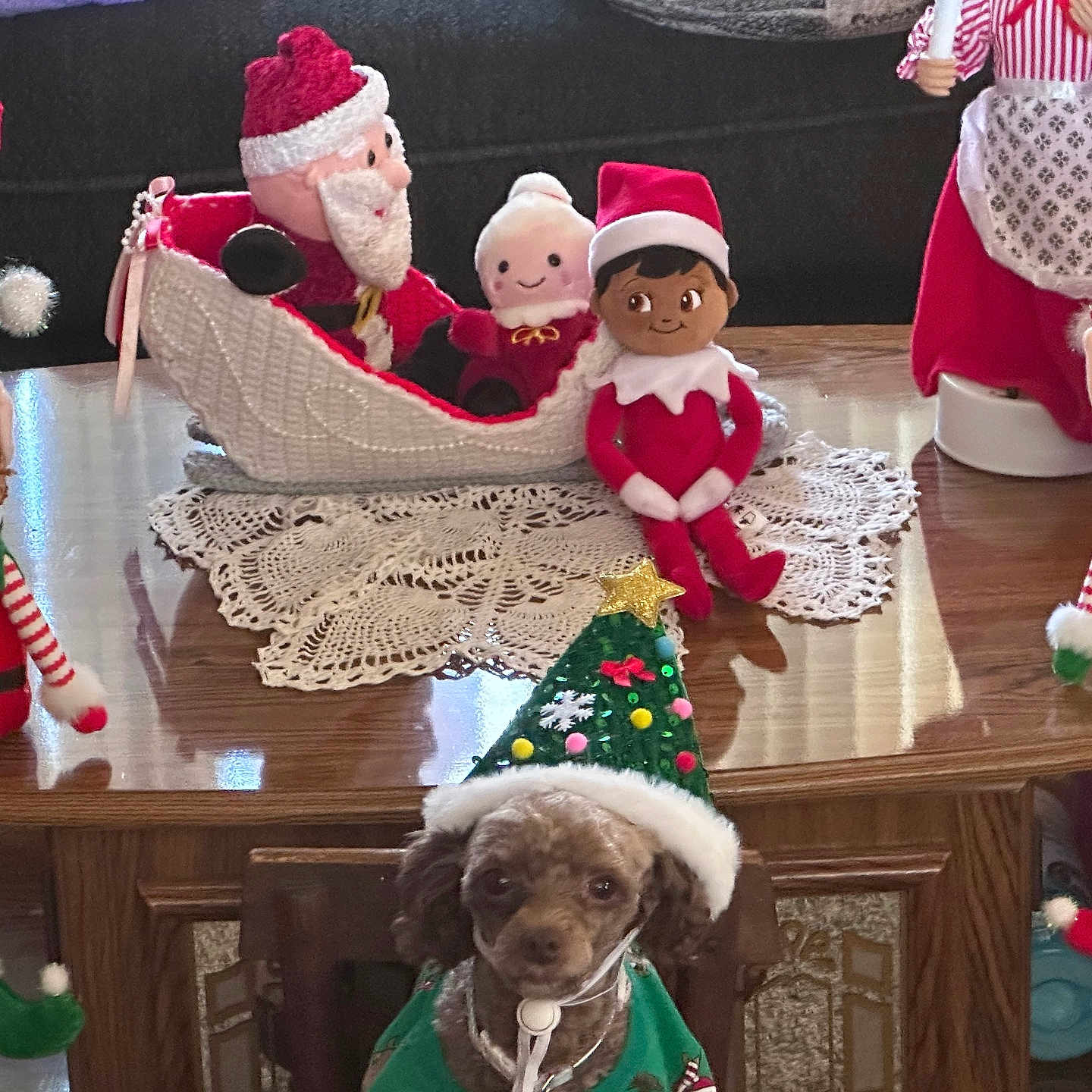 Coco is registered to the contest to win money with this photo: brown_dog, christmas_costume, christmas_tree_hat, crocheted_doily, cute_pet, decor, decorative_figures, dog, elf_dolls, festive_hat, festive_outfit, holiday_decorations, holiday_spirit, holiday_theme, indoor, santa_doll, seasonal, small_dog, toy_dolls, wooden_table