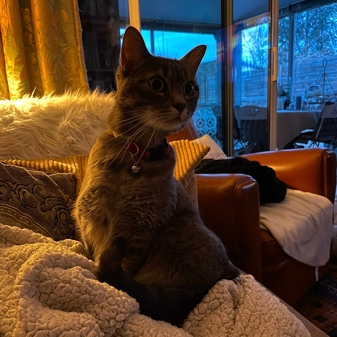 Mischka