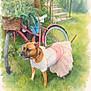 dog, tutu, costume, bicycle, basket, garden, grass, plants, stairs, outdoor, greenery, pet, animal, pink, white, nature, leafy, cute, summer, vintage