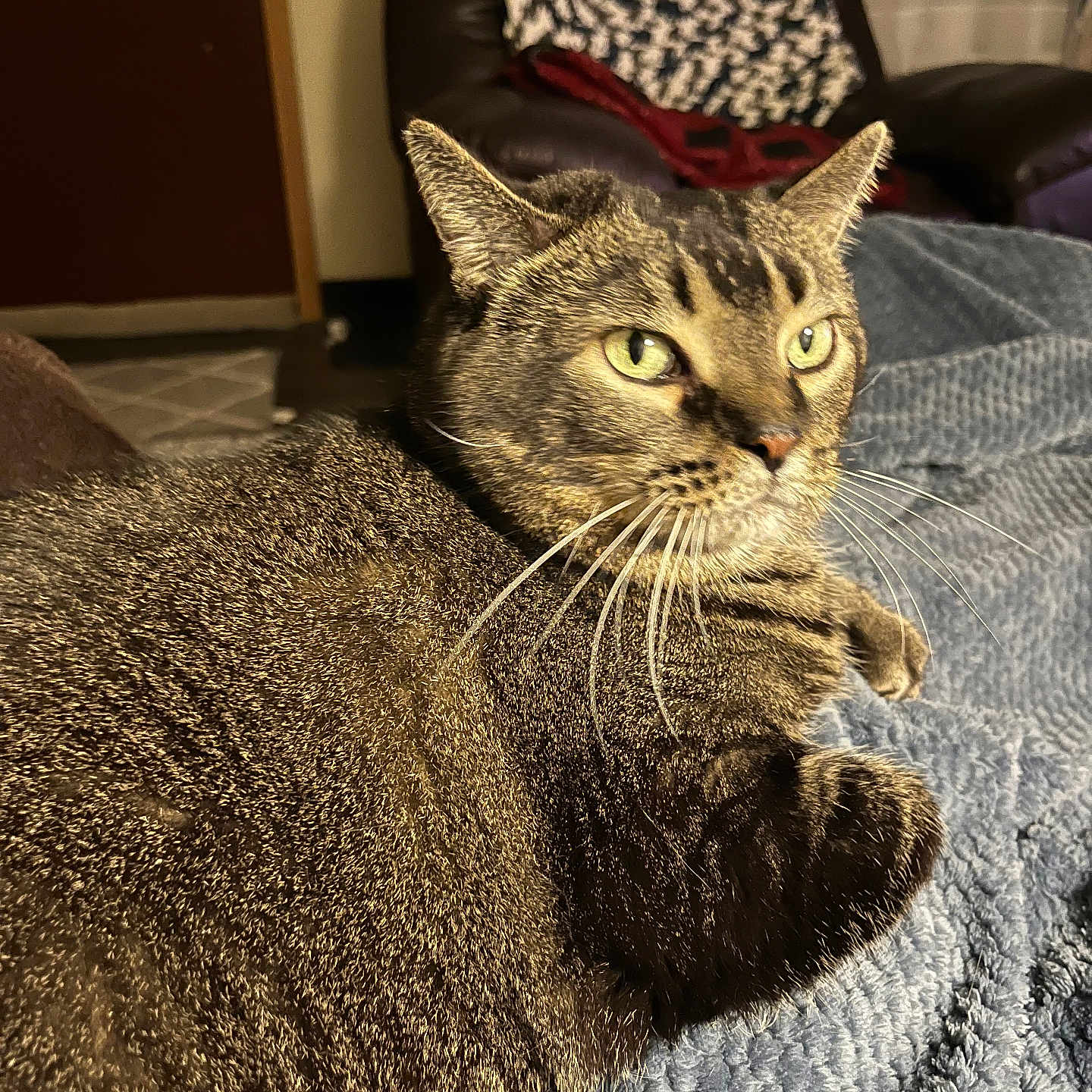 Jasper