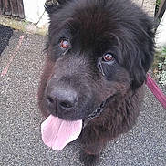 Ursane participe au concours pour gagner de l'argent avec cette photo :