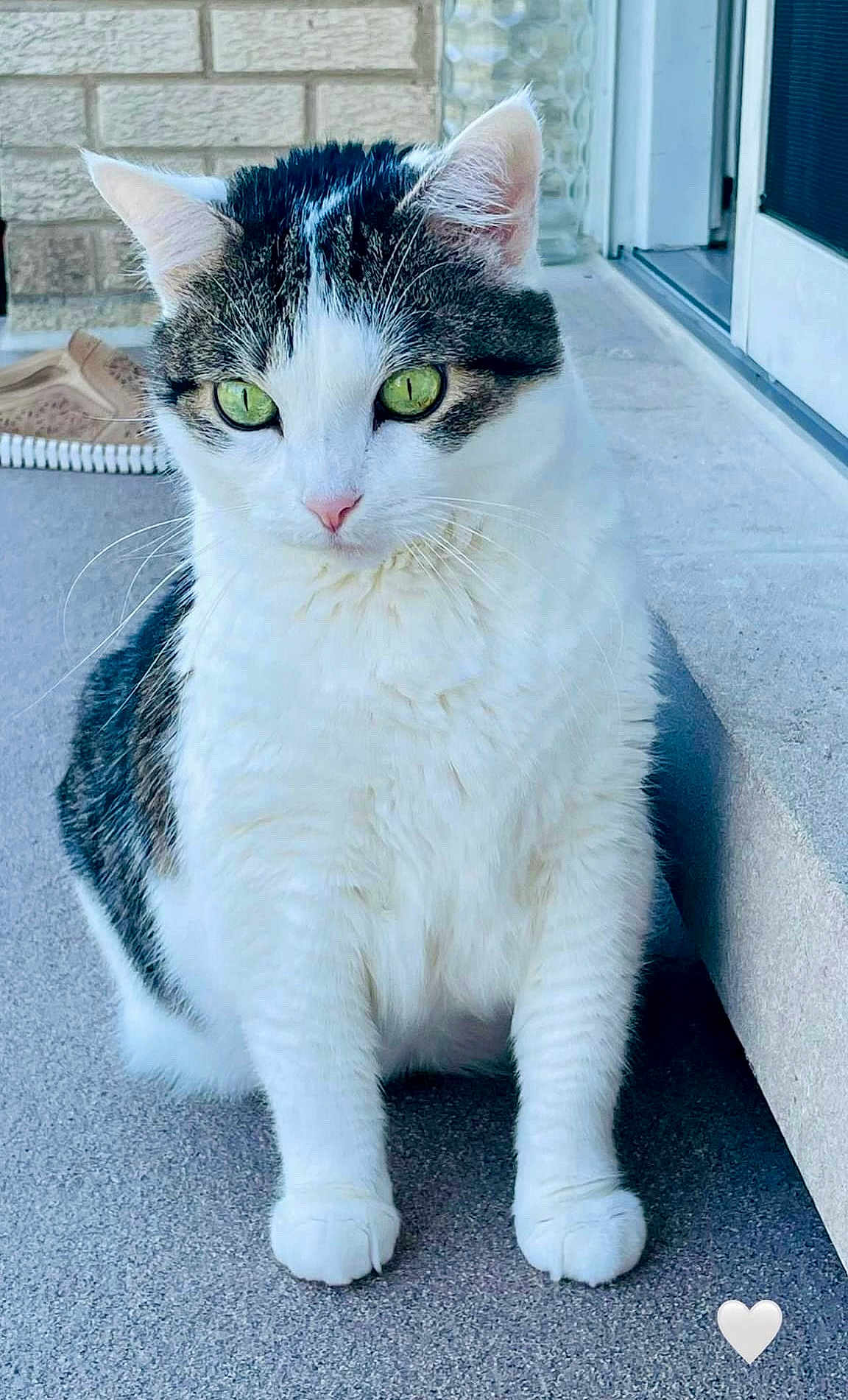 Kicia