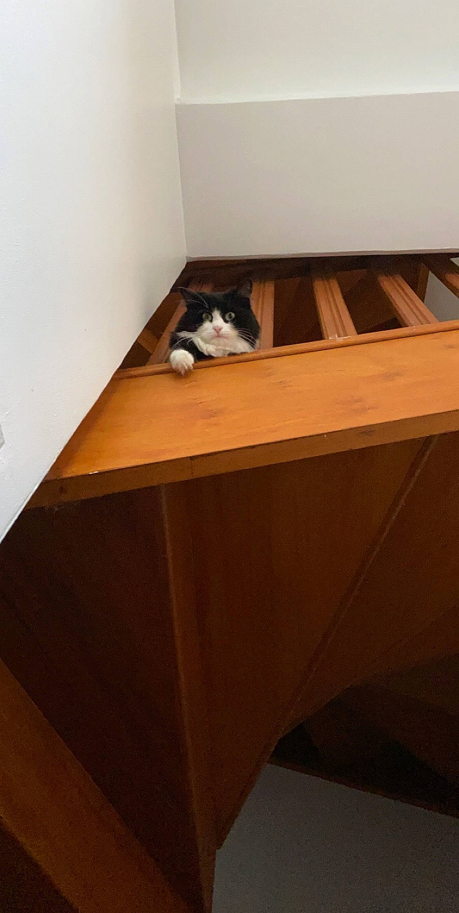 Minuit participe au concours pour gagner de l'argent avec cette photo : desk, floor, furniture, hardwood, plywood, room, table, wood, wood_stain