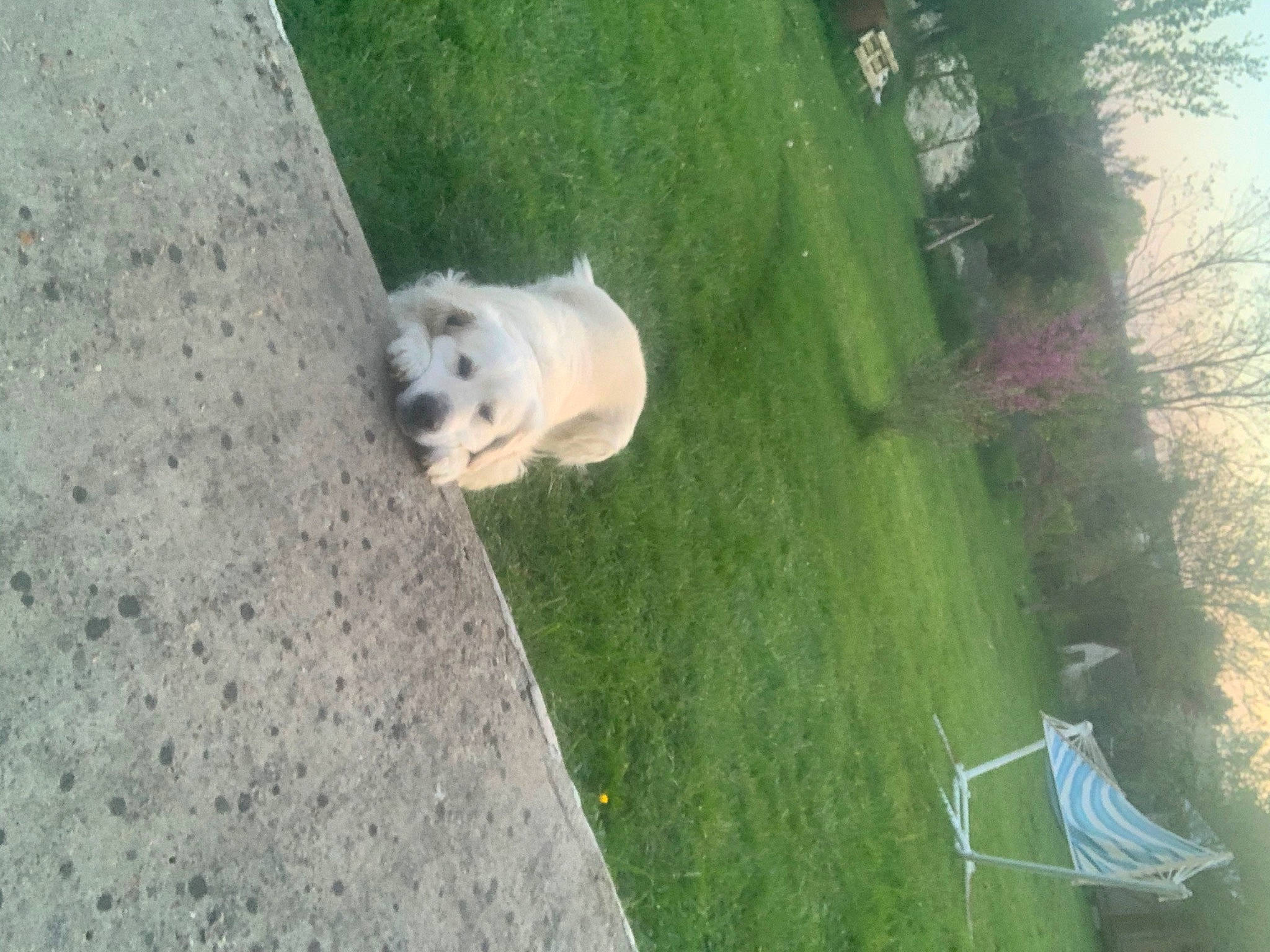 Handy a rejoint le concours — aidez-le/la à gagner de superbes lots ! grass, plant