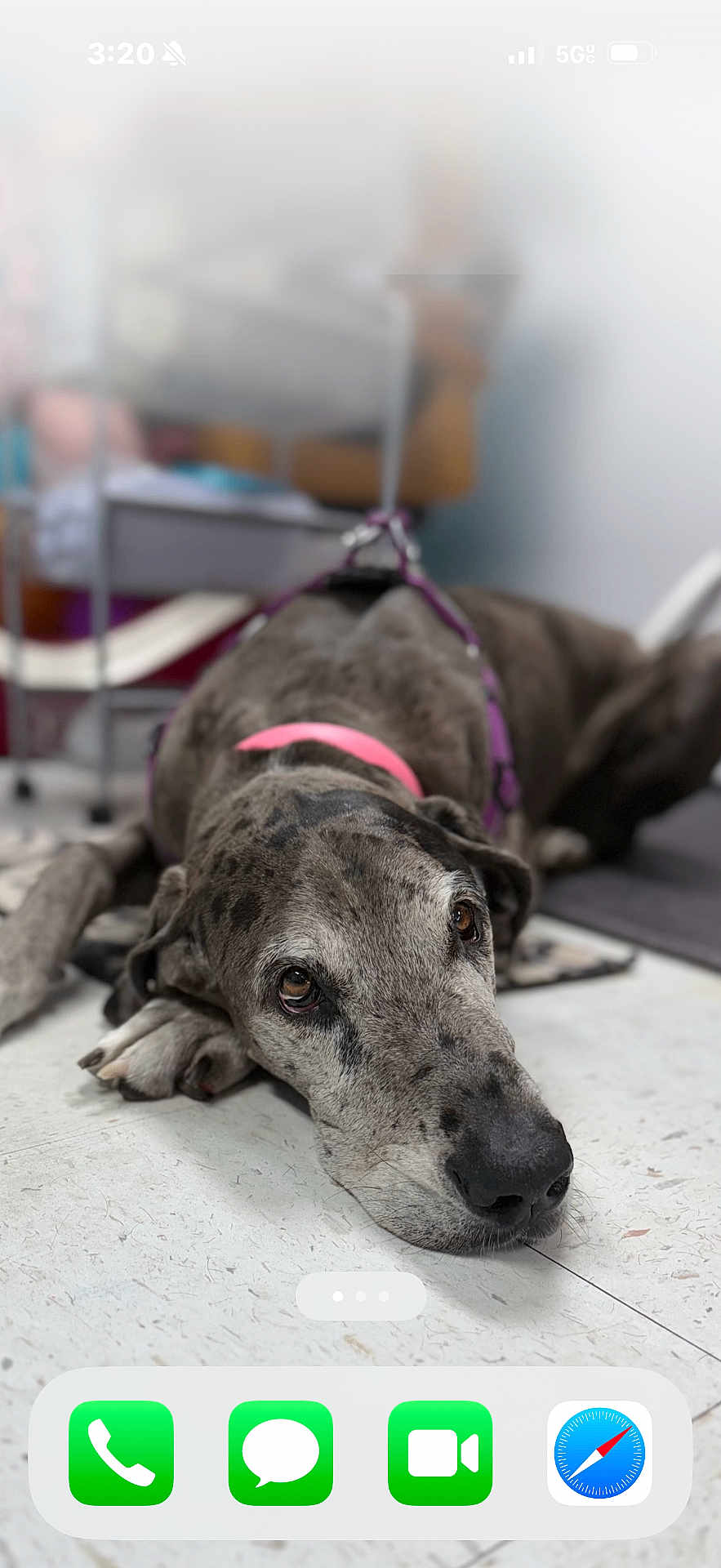 Greta
