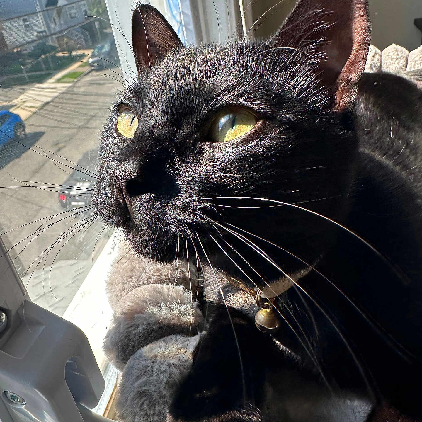 Onyx