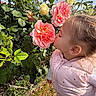 Angelina a rejoint le concours — aidez-le/la à gagner de superbes lots ! child, girl, flower, rose, pink_jacket, outdoor, garden, nature, greenery, plant, leaf, bloom, petal, sky, cloud, cute, profile, spring, season, kiss
