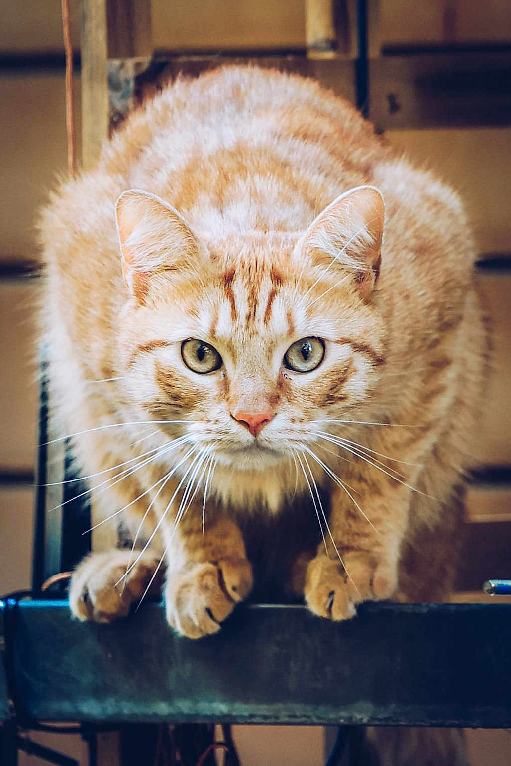 Barry