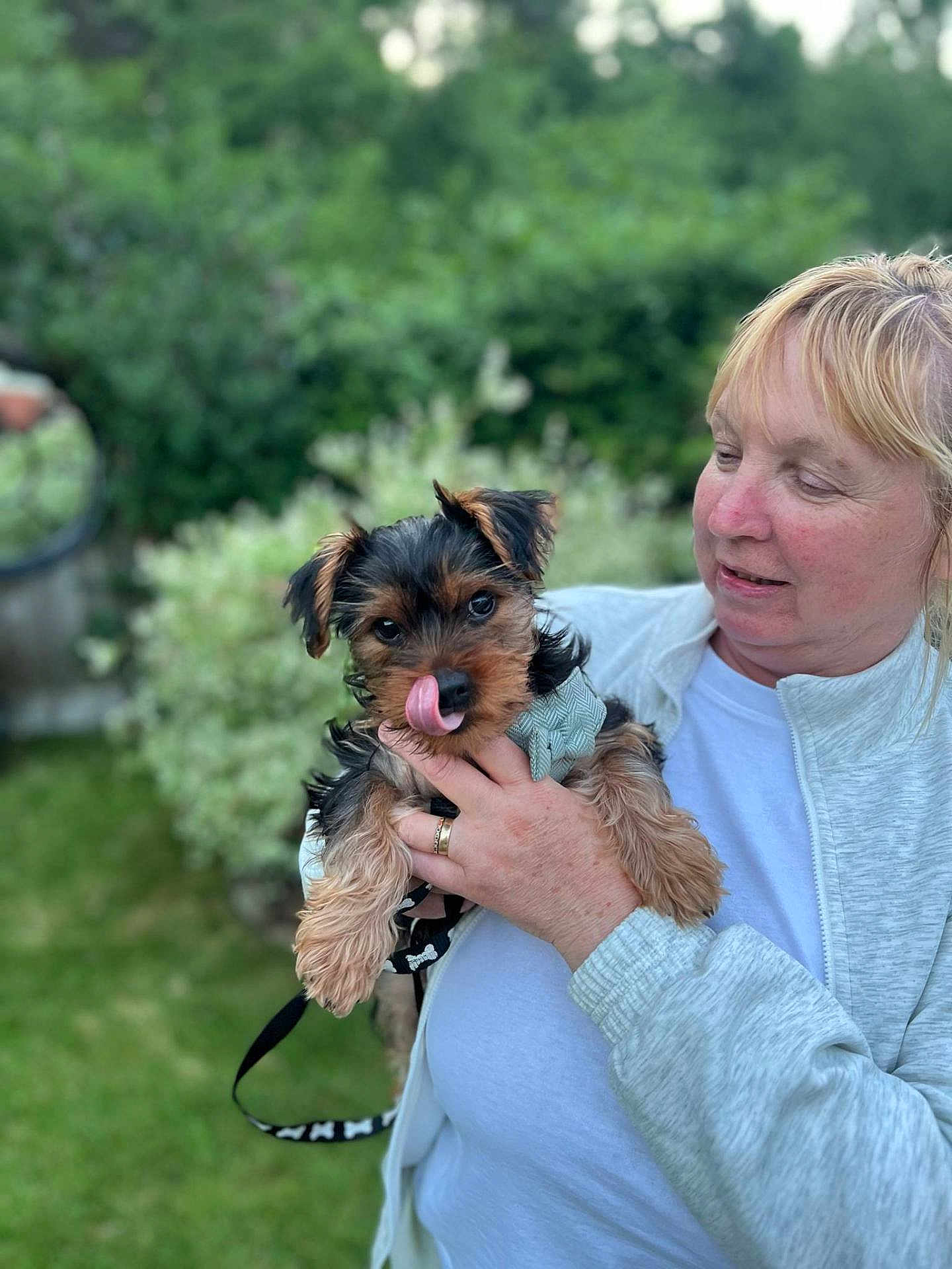 Alfie joined the competition — help win amazing prizes! woman, dog, pet, outdoor, garden, greenery, leash, casual_clothing, holding, cute, playful, tongue_out, small_dog, happy, person, blurred_background, nature, daylight, portrait, animal