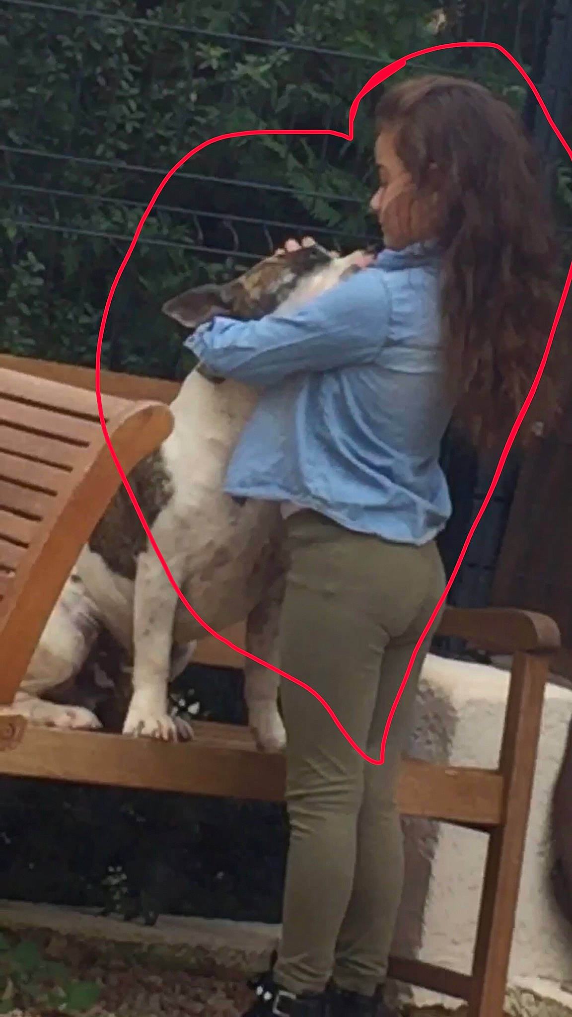 Lola participe au concours pour gagner de l'argent avec cette photo : canidae, person