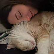 Sanji a rejoint le concours — aidez-le/la à gagner de superbes lots ! cat, person, sleeping, closeup, indoor, fluffy_cat, pet, resting, cozy, bed, brush, animal, relaxation, companion, cute, face, fur, head, human, calm