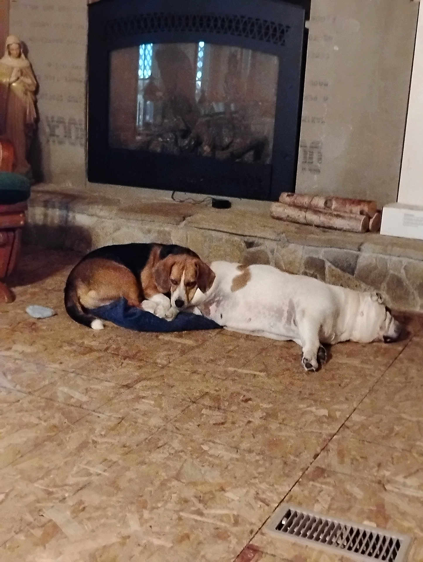 Lily is registered to the contest to win money with this photo: dog, beagle, bulldog, fireplace, stone, floor, indoor, resting, laying_down, cozy, home, pet, companion, animal, relaxing, brown, white, black, cushion, wood_logs