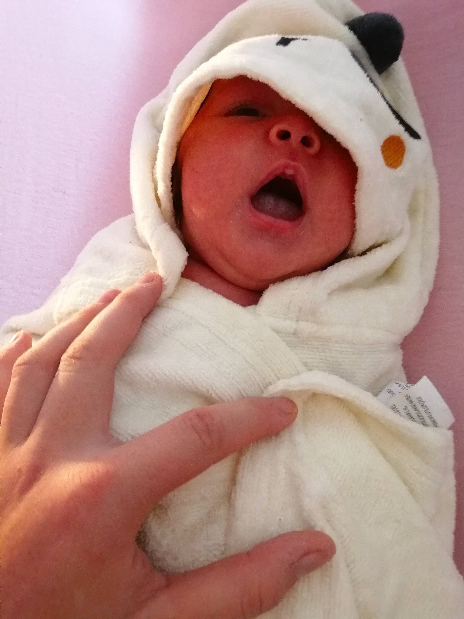 Lyhu participe au concours pour gagner de l'argent avec cette photo : baby, baby_sleeping, baby_toddler_clothing, child, comfort, finger, gesture, hand, happy, jacket, linens, nose, peach, person, pink, sleeve, smile, thumb, toddler, towel