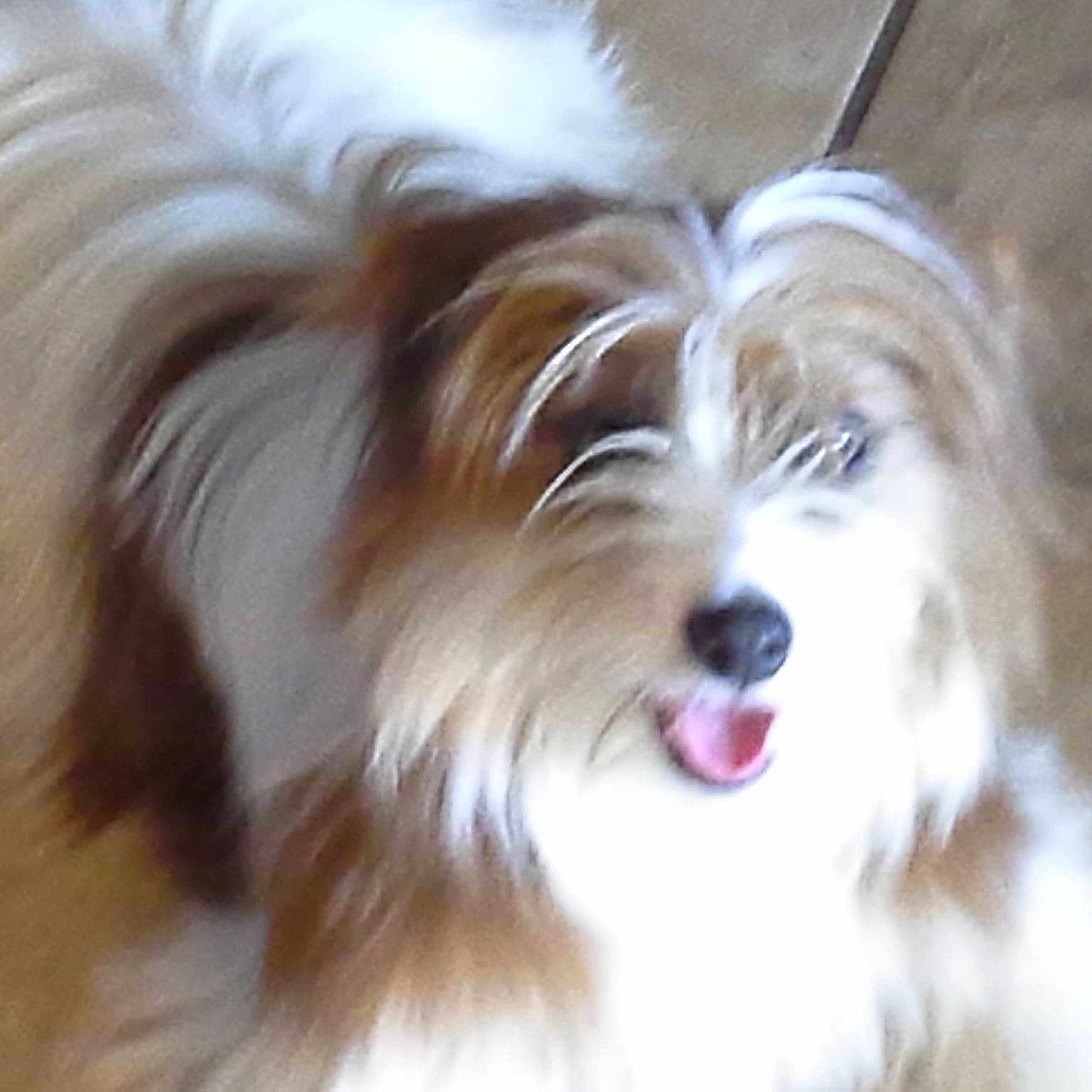 Krunchy is registered to the contest to win money with this photo: